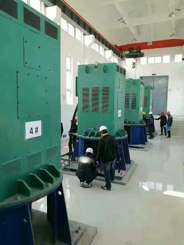 JR126-8某污水处理厂使用我厂的立式高压电机安装现场