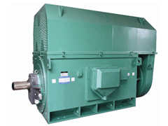 JR126-8Y系列6KV高压电机