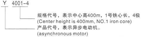 西安泰富西玛Y系列(H355-1000)高压JR126-8三相异步电机型号说明