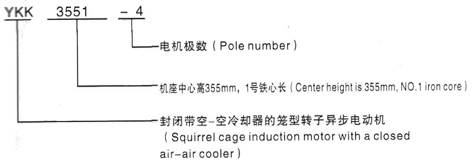 YKK系列(H355-1000)高压JR126-8三相异步电机西安泰富西玛电机型号说明